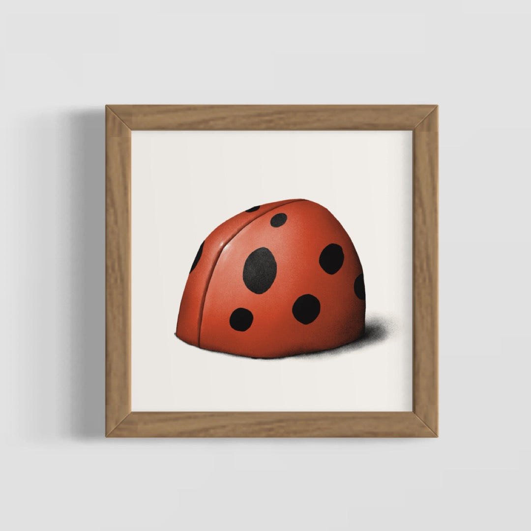 L for Ladybird - C comme Coccinelle